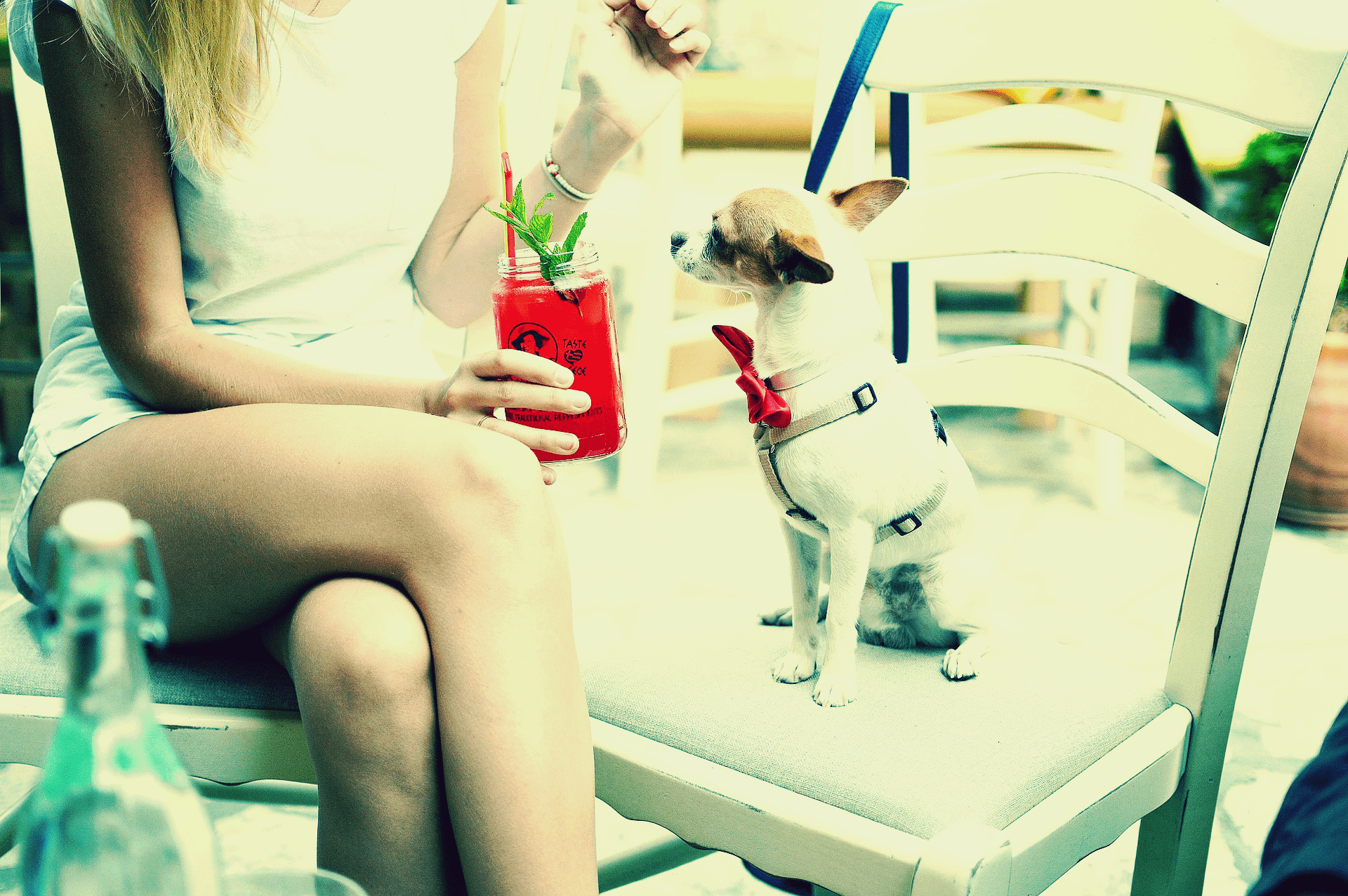 meinedesignerei-webdesign-bergatreute