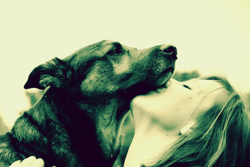 meinedesignerei-webdesign Bergatreute