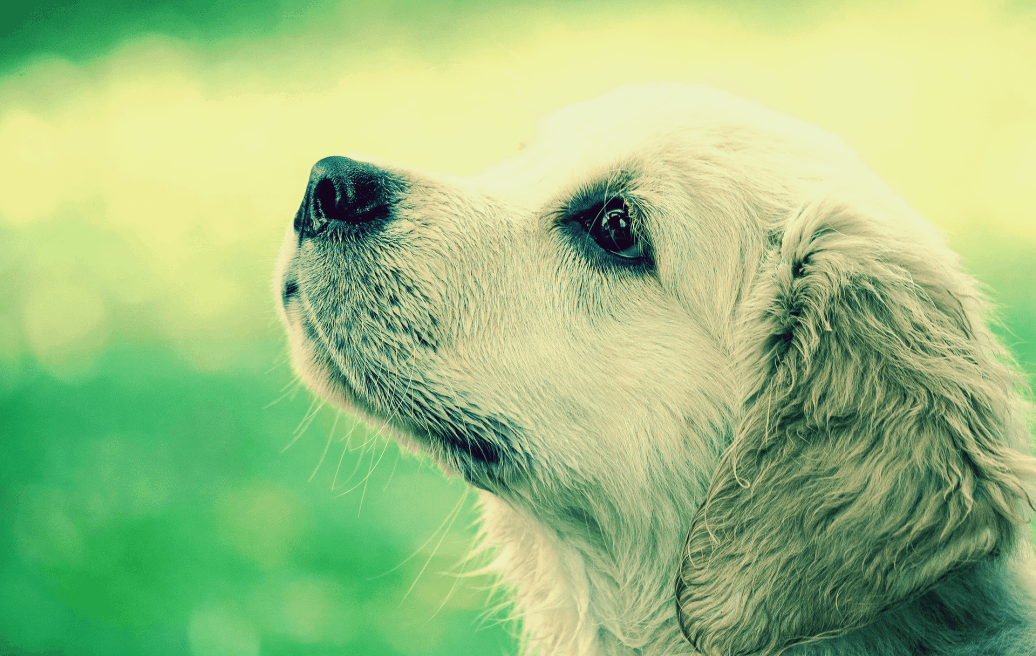 Marlene Krist Bergatreute 