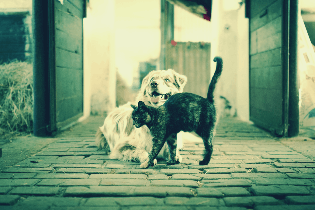 Marlene Krist Bergatreute 