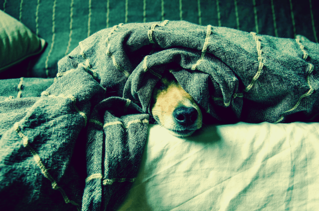 Marlene Krist Bergatreute 