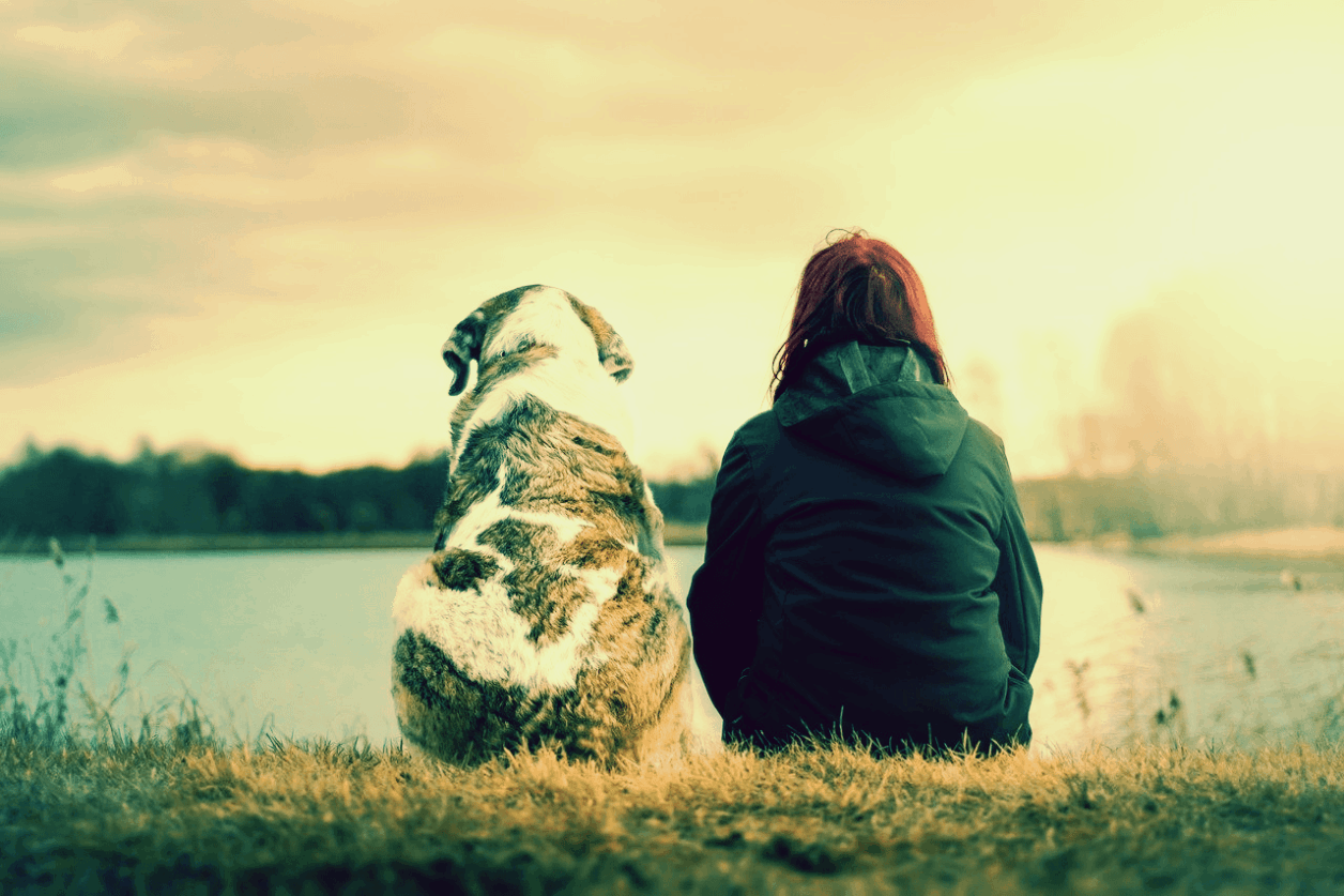 meinedesignerei-webdesign Bergatreute